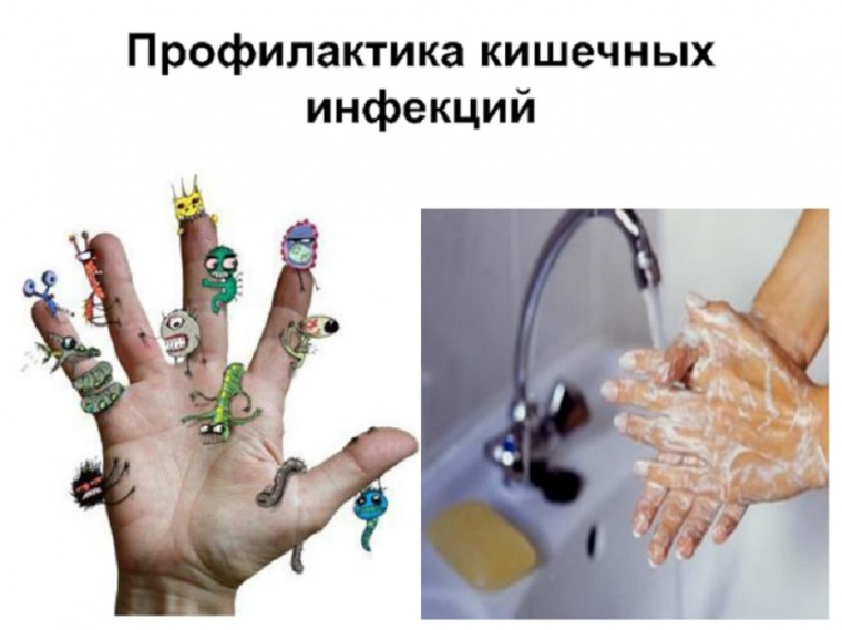 Профилактика заболеваний.